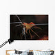 Orange White and Red Wall Decal