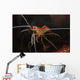 Orange White and Red Wall Decal