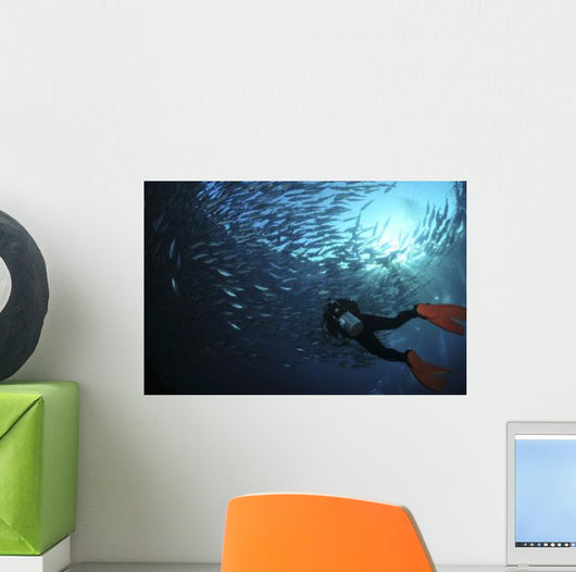 Diver Photographing School Trevally Wall Decal