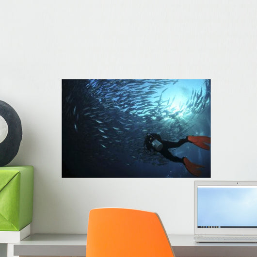 Diver Photographing School Trevally Wall Decal