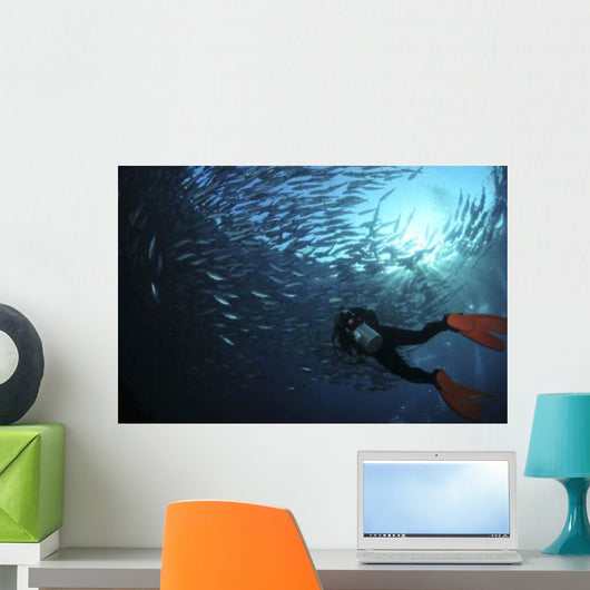 Diver Photographing School Trevally Wall Decal