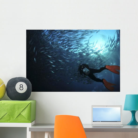 Diver Photographing School Trevally Wall Decal
