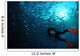 Diver Photographing School Trevally Wall Decal