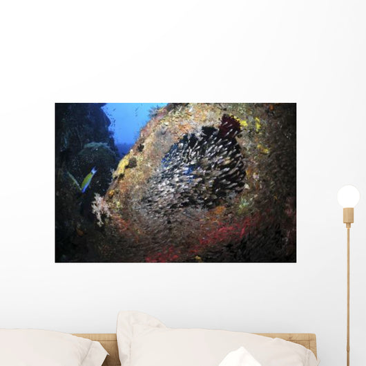 School Sweeper Glass Fish Wall Decal