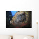 School Sweeper Glass Fish Wall Decal