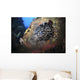 School Sweeper Glass Fish Wall Decal