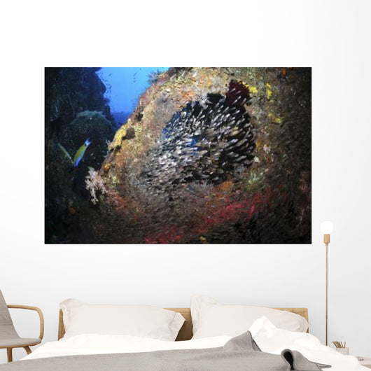 School Sweeper Glass Fish Wall Decal