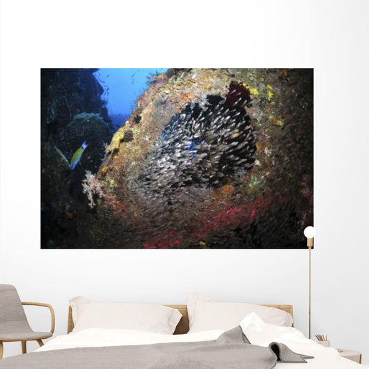 School Sweeper Glass Fish Wall Decal