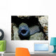 Black and White Honeycomb Wall Decal