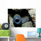 Black and White Honeycomb Wall Decal