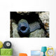Black and White Honeycomb Wall Decal