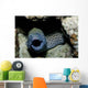 Black and White Honeycomb Wall Decal