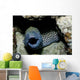 Black and White Honeycomb Wall Decal