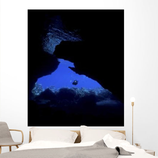 Diver with Lights Entering Wall Decal