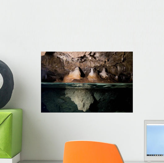 Split Shot Stalactites and Wall Decal