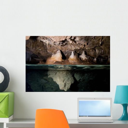 Split Shot Stalactites and Wall Decal