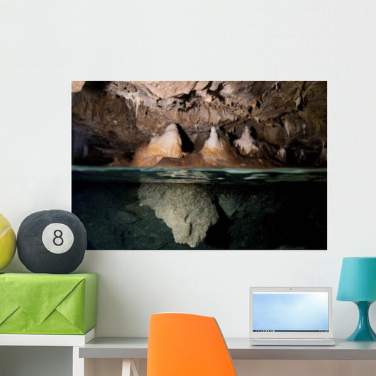Split Shot Stalactites and Wall Decal
