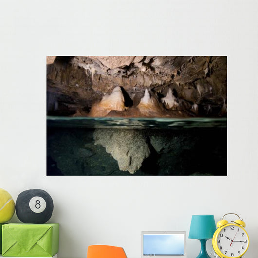 Split Shot Stalactites and Wall Decal