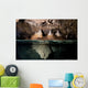 Split Shot Stalactites and Wall Decal