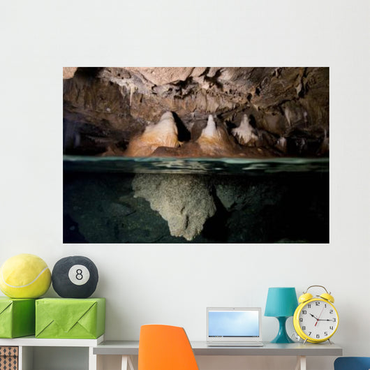 Split Shot Stalactites and Wall Decal