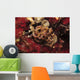 Phyllodesmium Poindimiei Nudibranch Red Wall Decal