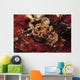 Phyllodesmium Poindimiei Nudibranch Red Wall Decal