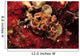 Phyllodesmium Poindimiei Nudibranch Red Wall Decal