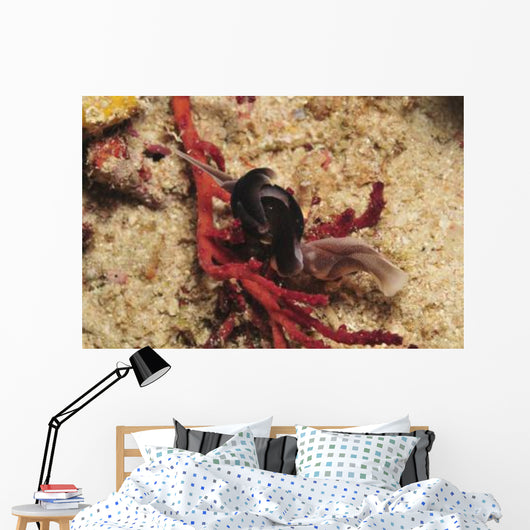 Headshield Slugs Coiled over Wall Decal