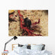 Headshield Slugs Coiled over Wall Decal