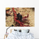 Headshield Slugs Coiled over Wall Decal