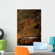Orange and Brown Face Wall Decal