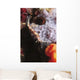 Phidiana Indica Nudibranch Purple Wall Decal