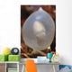 White Cuttlefish Egg Staghorn Wall Decal