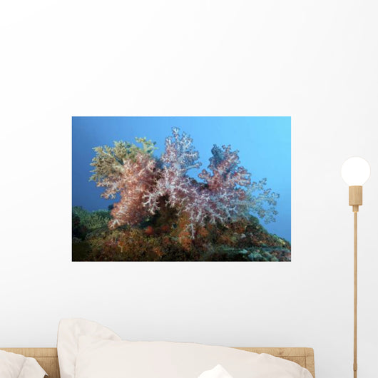 Fluffy Brown Pink and Wall Decal
