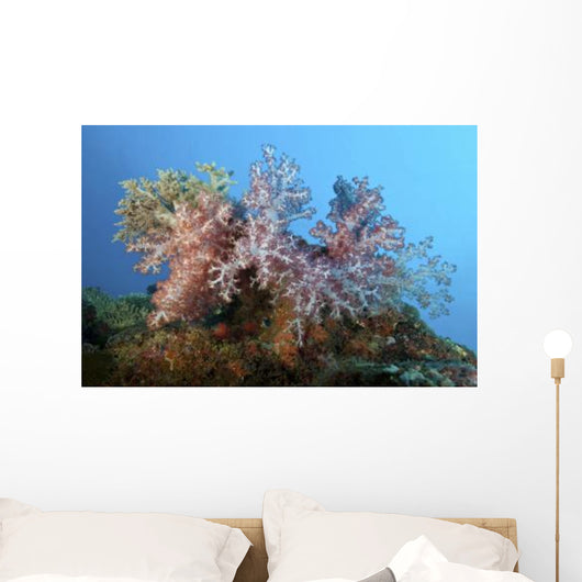 Fluffy Brown Pink and Wall Decal