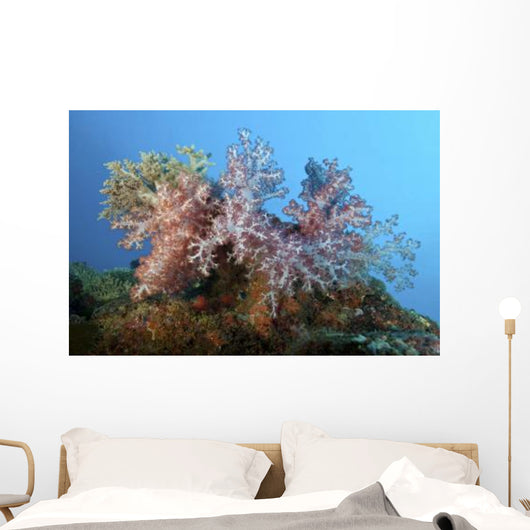 Fluffy Brown Pink and Wall Decal