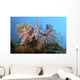 Fluffy Brown Pink and Wall Decal
