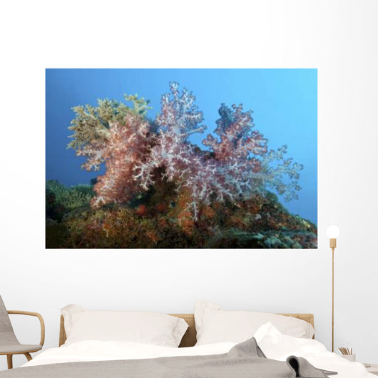 Fluffy Brown Pink and Wall Decal