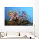 Fluffy Brown Pink and Wall Decal
