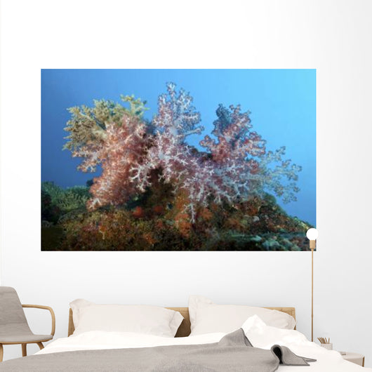 Fluffy Brown Pink and Wall Decal