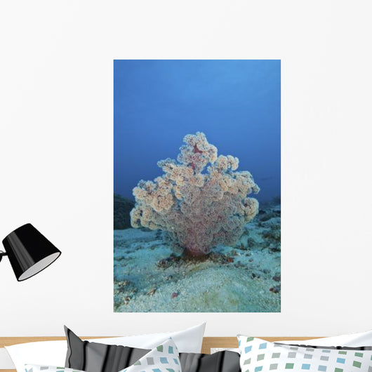 Fluffy Pink and Red Wall Decal