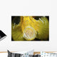 Yellow Leaf Scorpionfish with Wall Decal