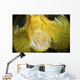 Yellow Leaf Scorpionfish with Wall Decal