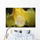 Yellow Leaf Scorpionfish with Wall Decal