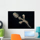 Harlequin Ghost Pipefish with Wall Decal