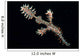 Harlequin Ghost Pipefish with Wall Decal