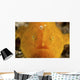 Orange Warty Frogfish North Wall Decal