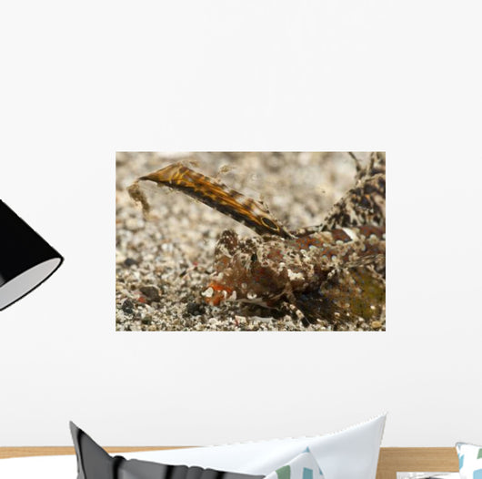 Fingered Dragonet Head Detail Wall Decal