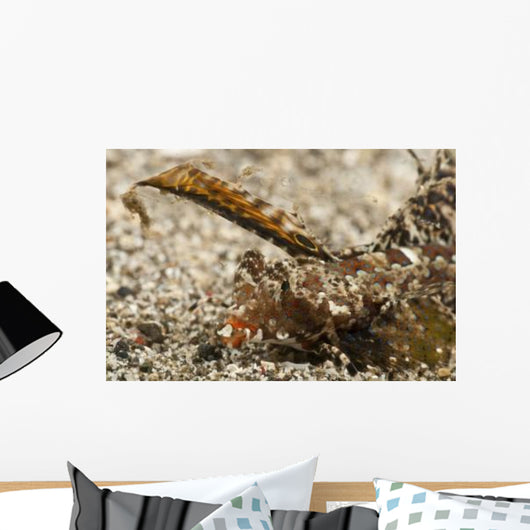 Fingered Dragonet Head Detail Wall Decal