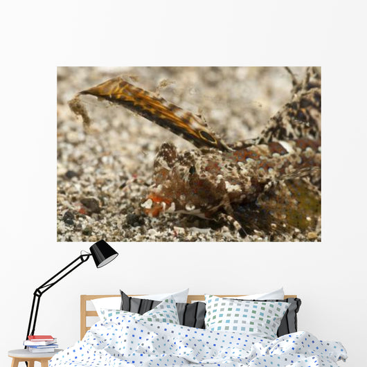 Fingered Dragonet Head Detail Wall Decal